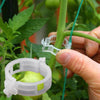 Image of Plant Support Clips