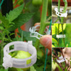 Image of Plant Support Clips